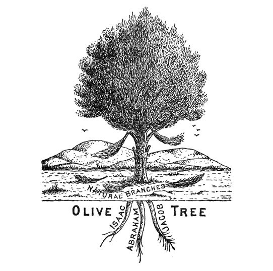 Clarence Larkin's engraving: The Olive Tree